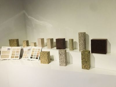 徐英 國標為建筑裝修材料與機械設備注入信心，守護消費者權益